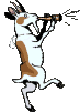 267.gif