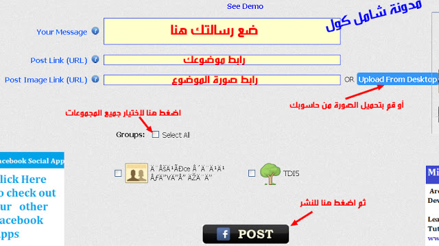 5.bmp