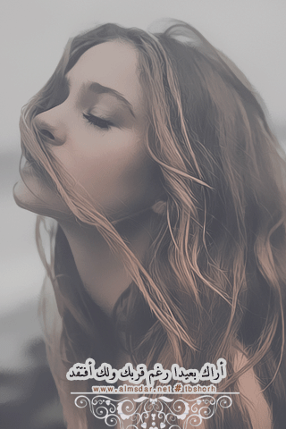 93.gif