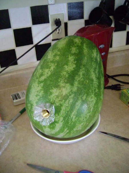 134.jpg