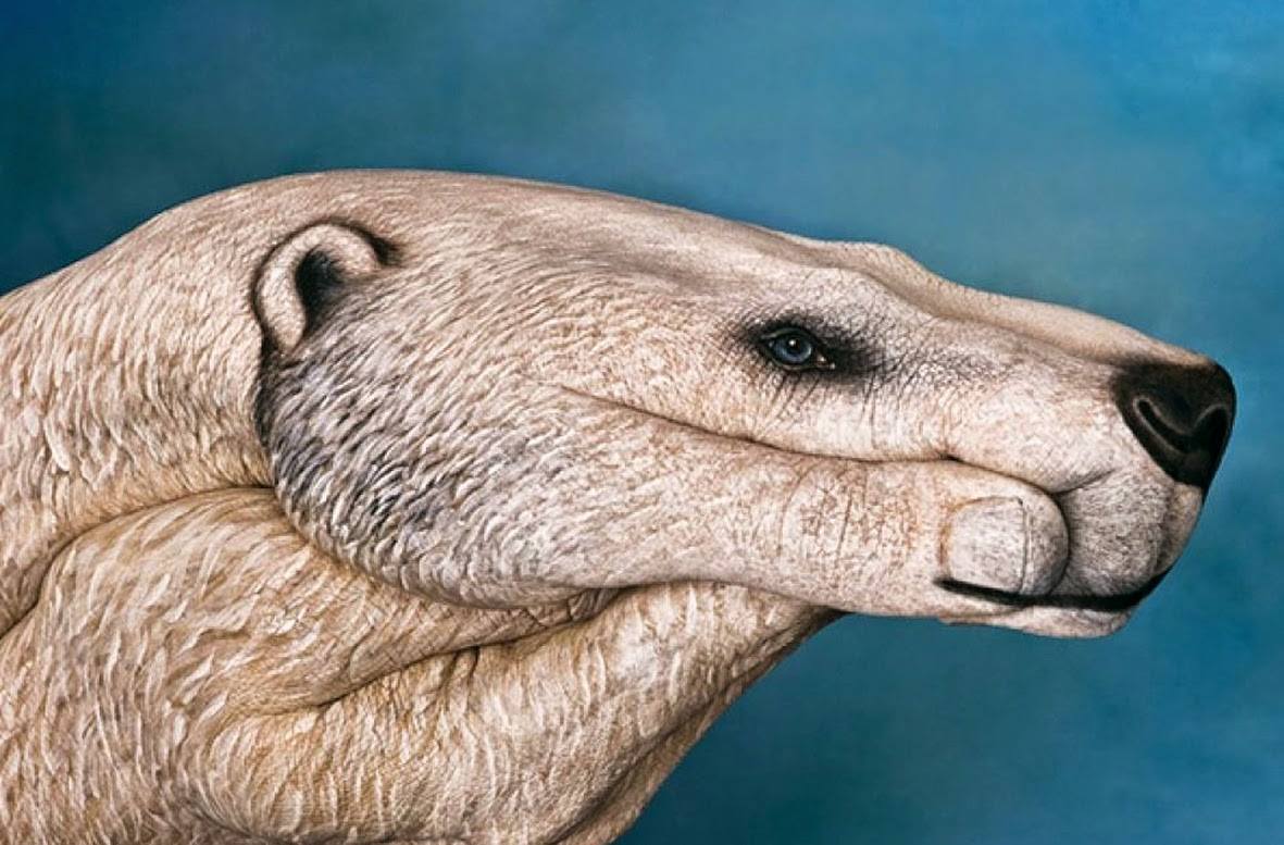 45.jpg