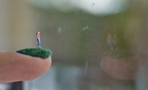 485.jpg