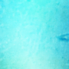 112.png