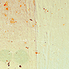12.png
