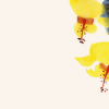 176.png