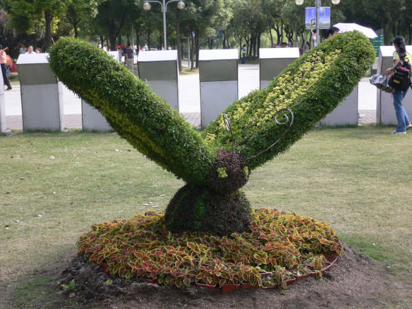 442.jpg