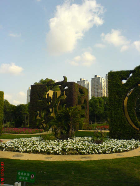 454.jpg