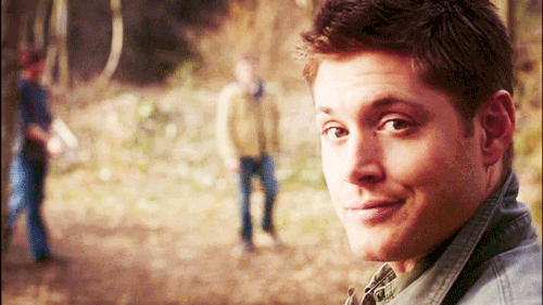 6.gif