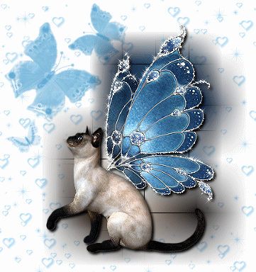 8.gif