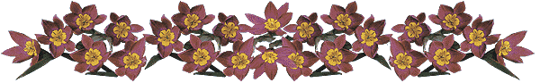 102.gif
