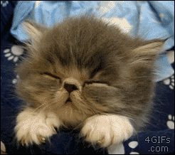 167.gif