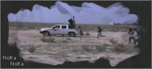 169.gif