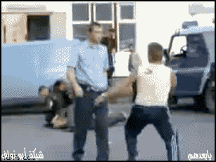 173.gif