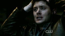 184.gif