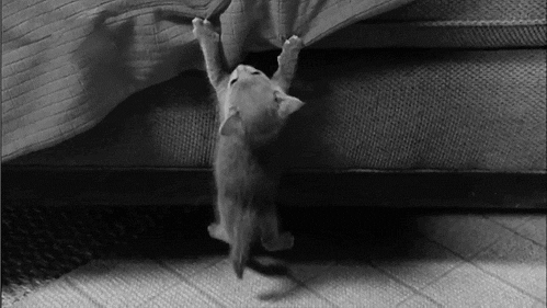 221.gif