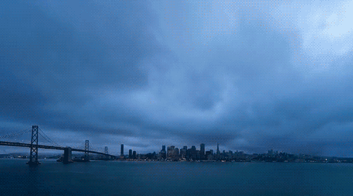 237.gif