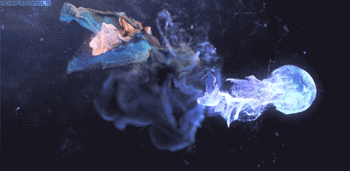 242.gif