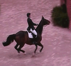 244.gif