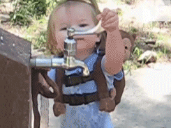 245.gif