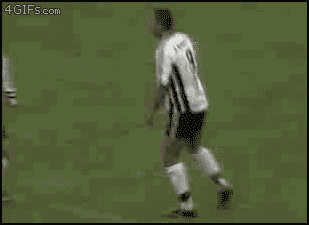 254.gif