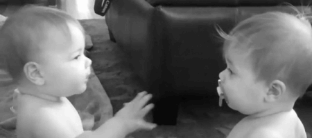 259.gif