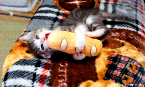 261.gif