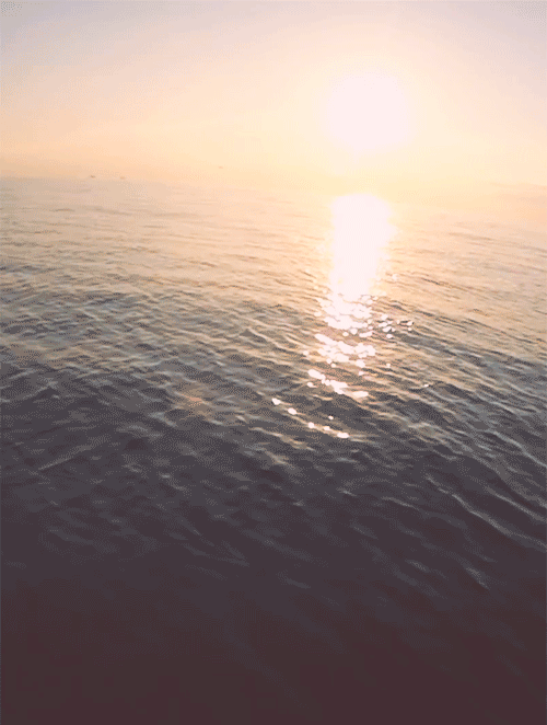 262.gif