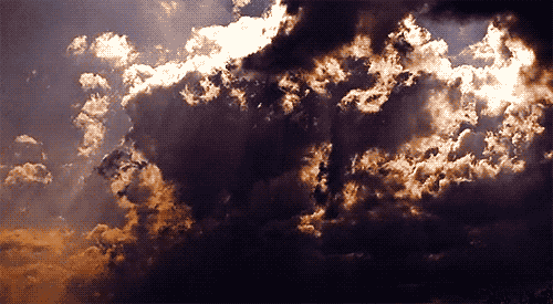 263.gif