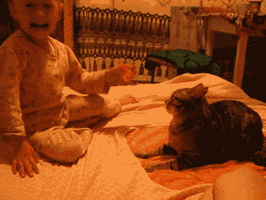 276.gif