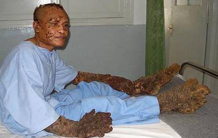 43.jpg