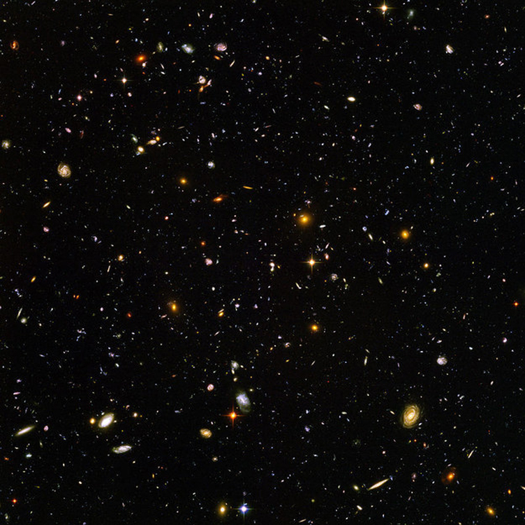 451.jpg