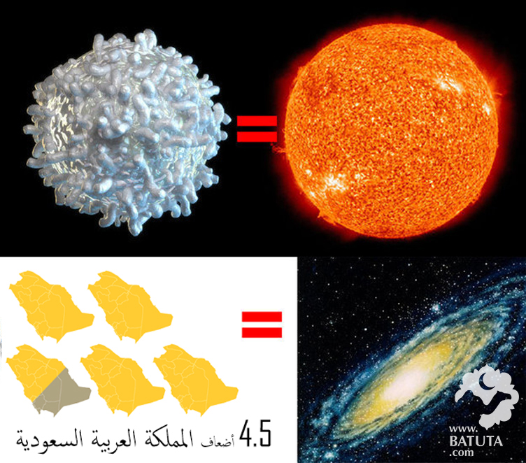 455.jpg