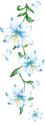 61.gif