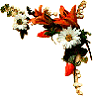 94.gif