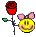 9.gif