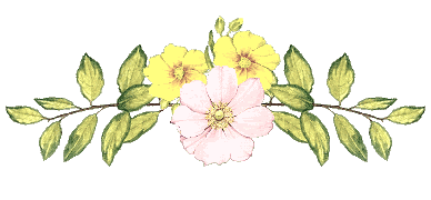 112.gif