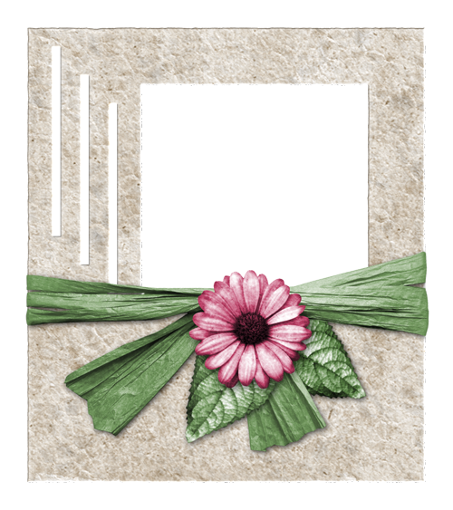 166.png