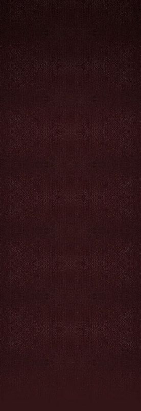 170.jpg