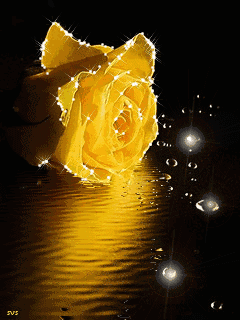 36.gif
