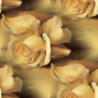 91.gif