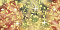 101.gif