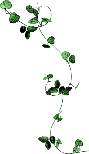 206.png