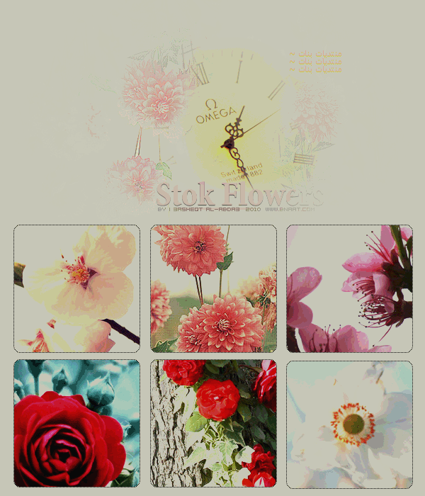 209.gif