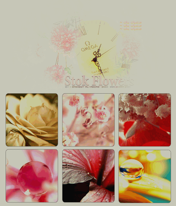 211.gif