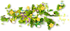 244.png