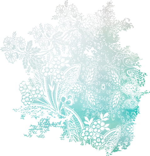 255.png
