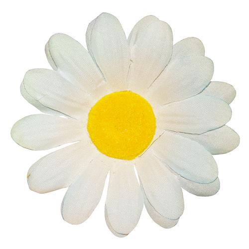 268.jpg