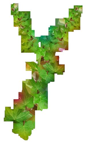 286.jpg