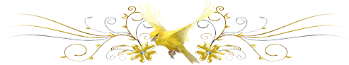113.png