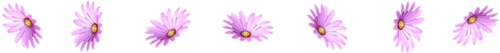 116.png